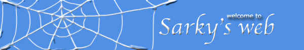 sarky banner.jpg (62313 bytes)